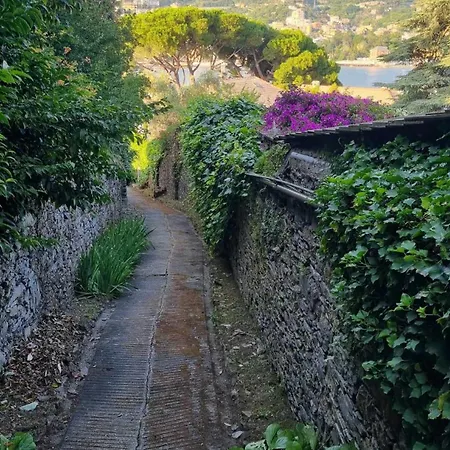 La Dolce *